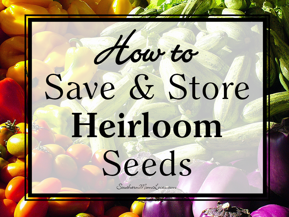 Southern Mom Loves How to Save and Store Heirloom Seeds