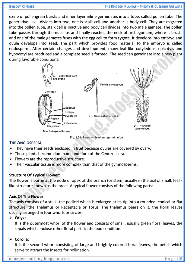kingdom-plantae-descriptive-question-answers-biology-11th