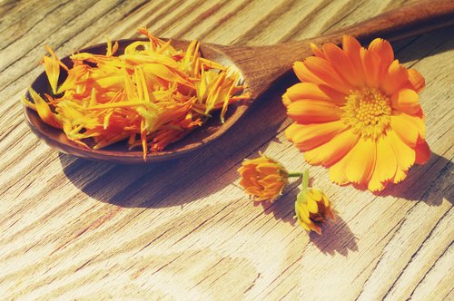 L'huile de Calendula L'huile de Calendula