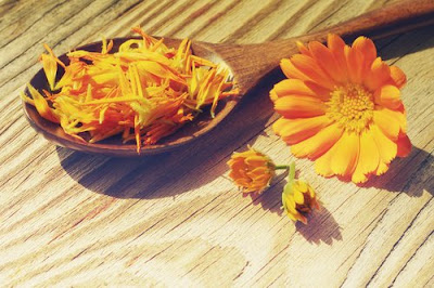 L'huile de Calendula L'huile de Calendula