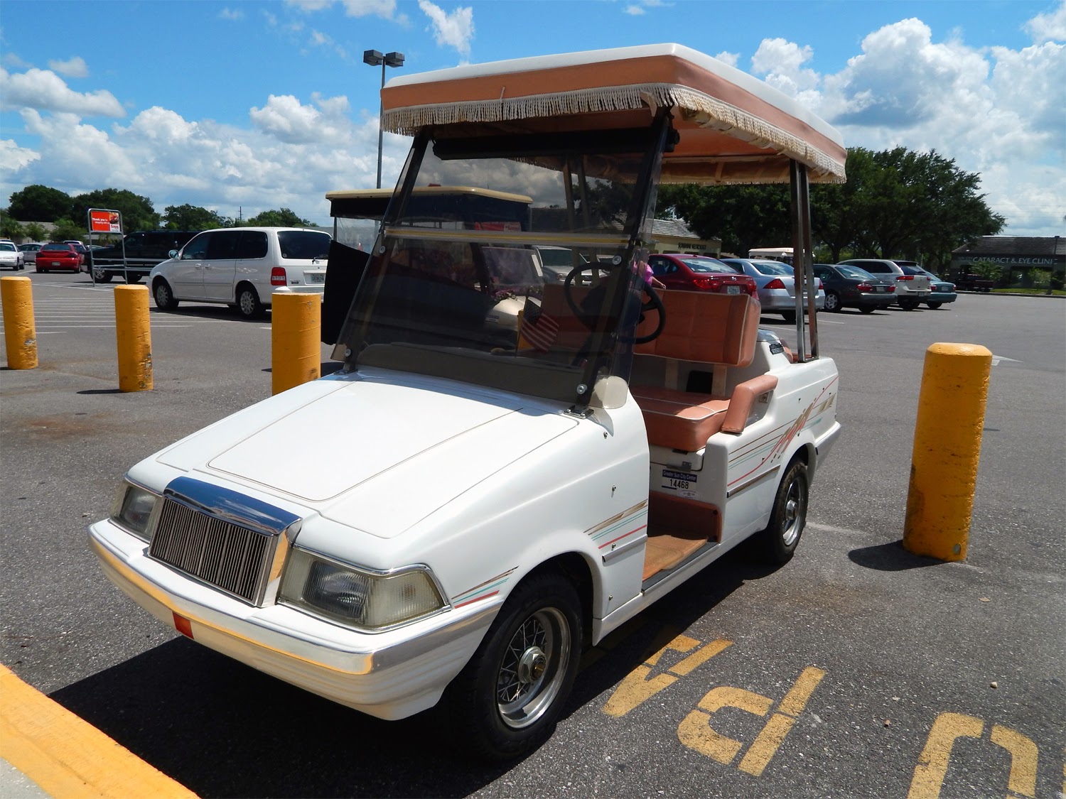 White Golf and Country ELEGANT Western golf cart, Sun City Center, FL