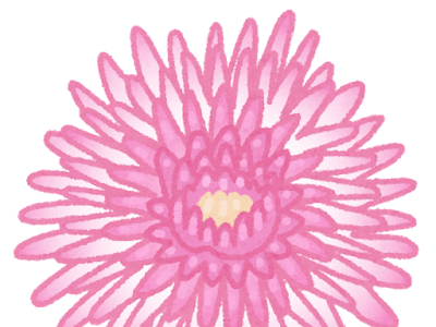 無料ダウンロード 菊の花 イラスト かわいい 312753-菊の花 イラスト かわいい
