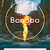BONOBO LIVE, EN BARCELONA Y MADRID A MEDIADOS DE MARZO