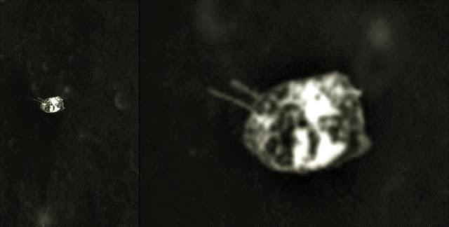 Alien Spacecraft Above The Moon’s Surface?  Alien%2Bspacecraft%2BMoon%2B%25281%2529