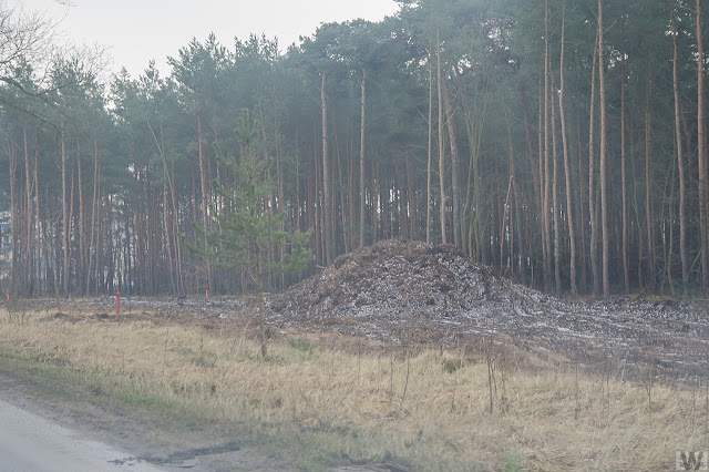 Rozbudowa ulicy Grunwaldzkiej w Bydgoszczy