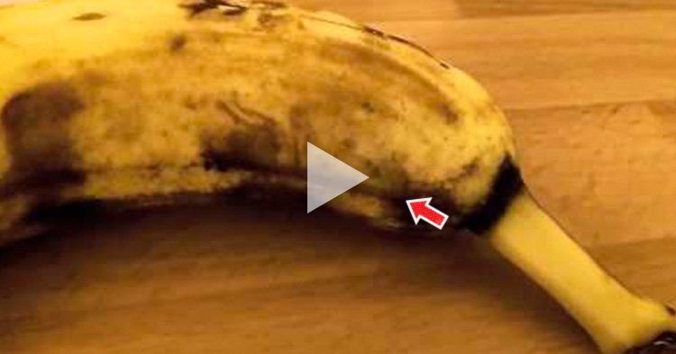 Woman found a deadly spider coming out from the banana she bought