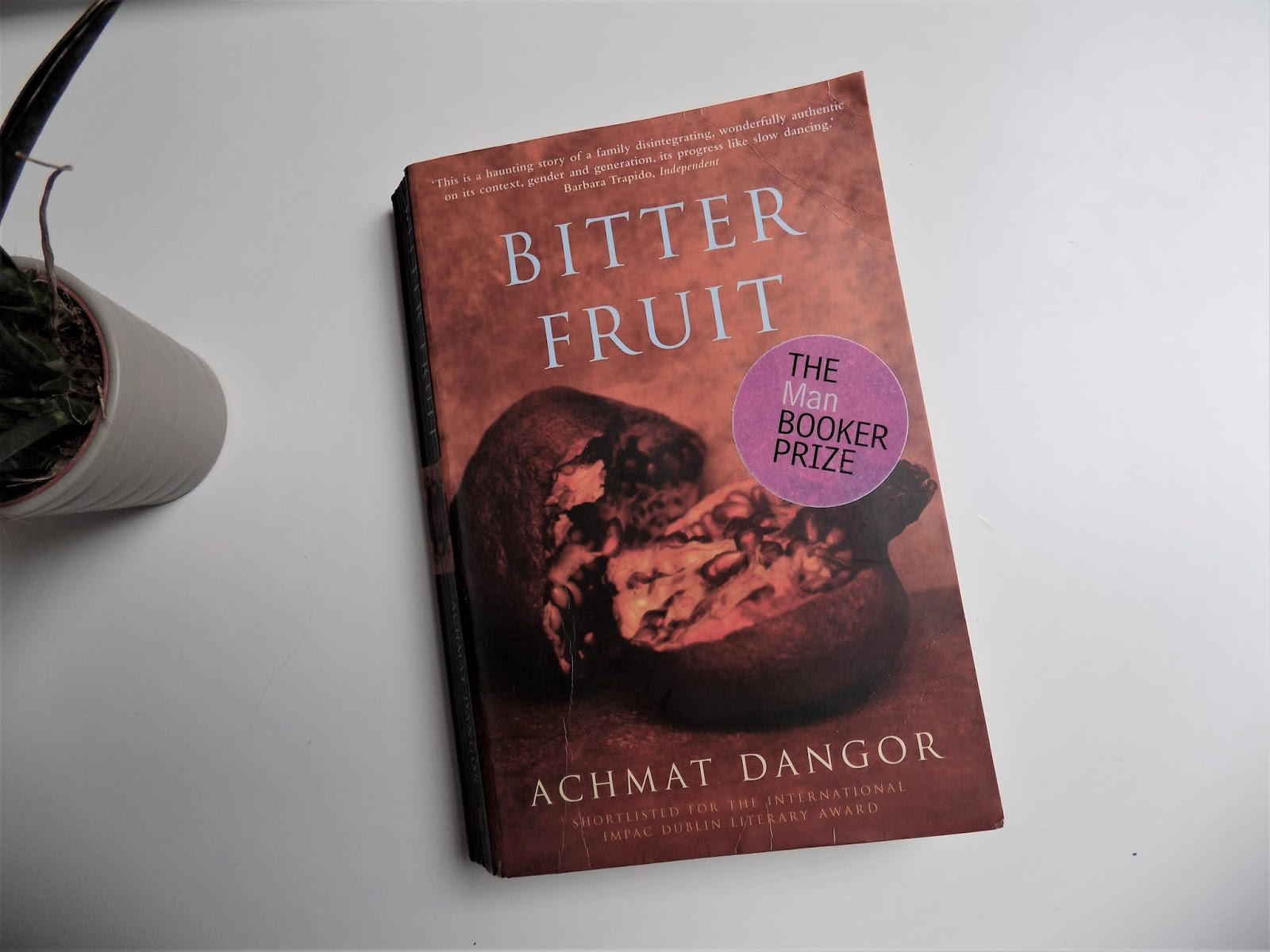 Book of the Day Bitter Fruit by Achmat Dangor
