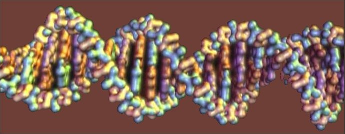 РАСКРЫВАЯ ТАЙНУ ЖИЗНИ - Молекуа ДНК