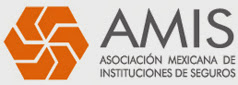 Asociacion Mexicana de Instituciones de Seguros