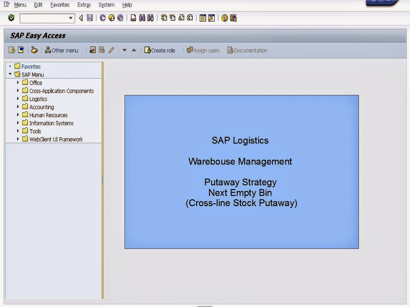 青蛙SAP分享 Froggy's SAP sharing WMS Putaway Strategy Next Empty Bin