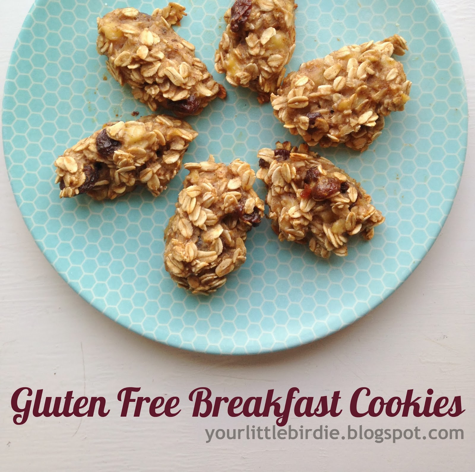Your Little Birdie: Gluten Free and Low Fat Breakfast Cookies