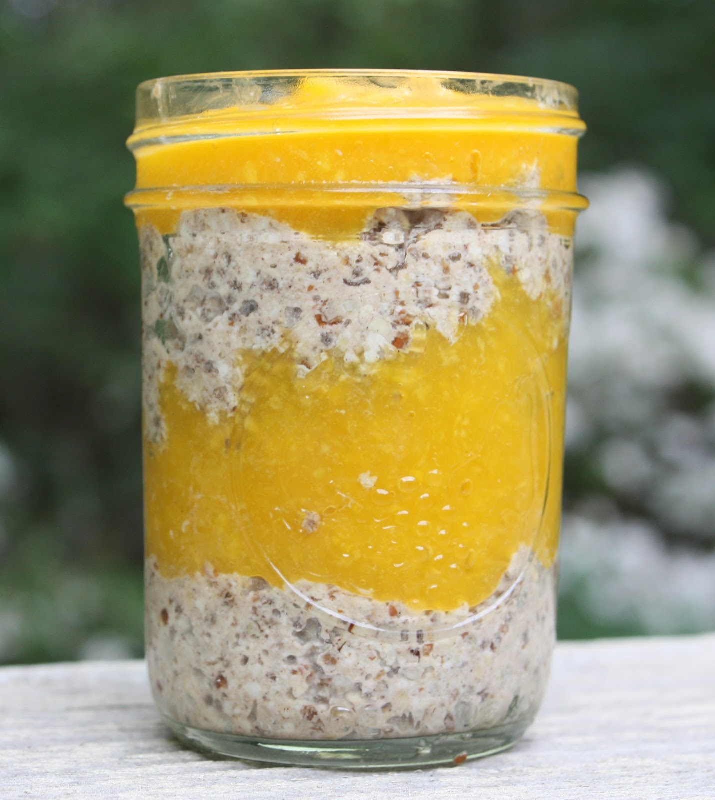 Best of Long Island and Central Florida Mango & Overnight Quinoa Flakes Parfait ( Plus Bonus