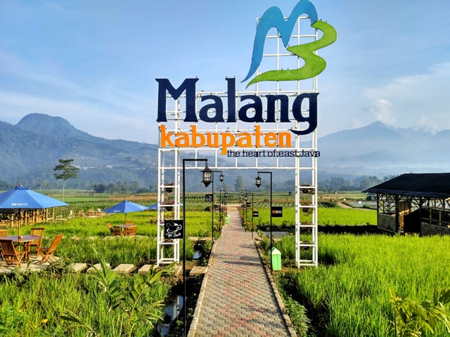 Kafe Sawah Pujon Kidul Malang 
