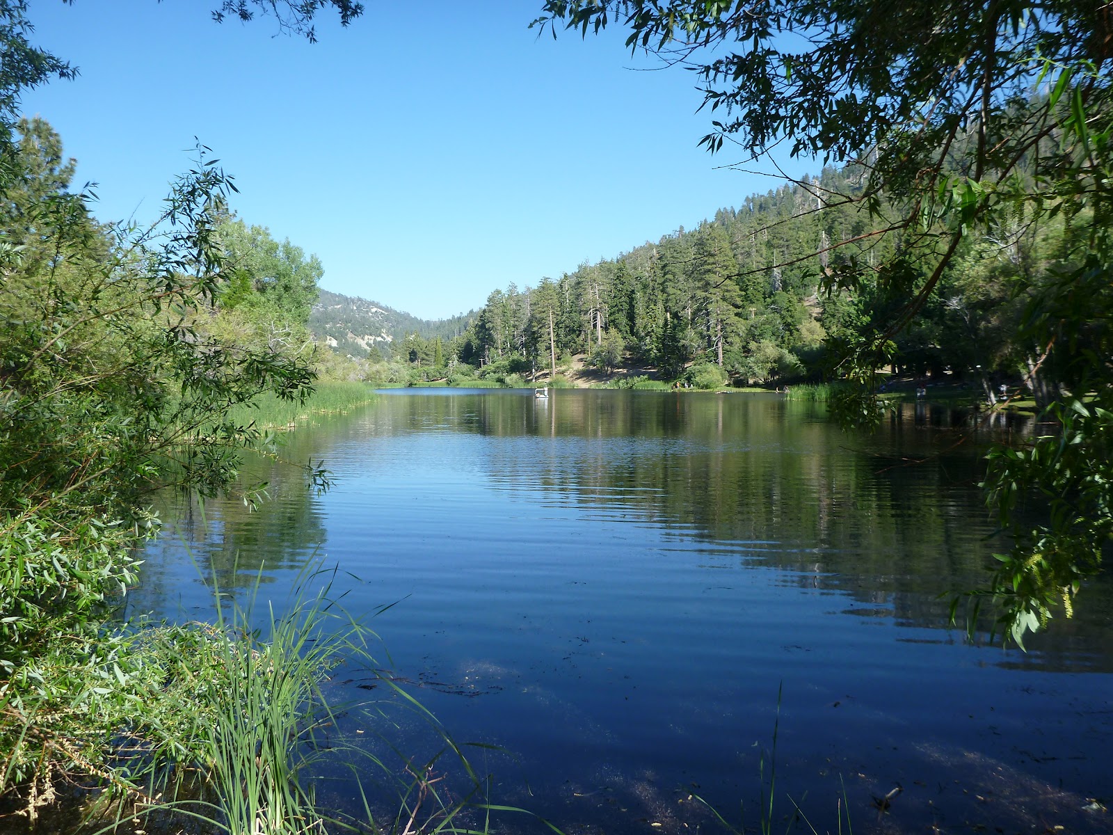 California Photos Lake Campground and Jackson Lake Review