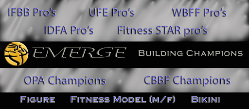 The Official Blog of Team Emerge