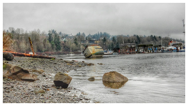 Beach along Dogpatch Trail in Ladysmith (2016-02-14)