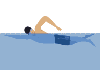 Kravl yani serbest stil yüzmeyi gösteren bir yüzücü animasyonu