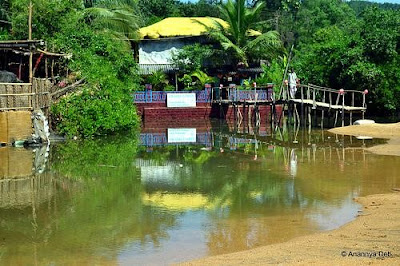 Om Shree Ganesh at Om Beach, Gokarna, India