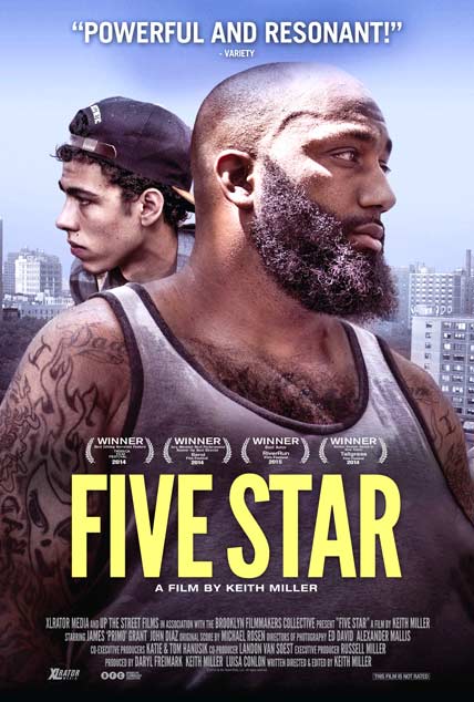 Five Star 2014 BRRip 480p 250mb ESub