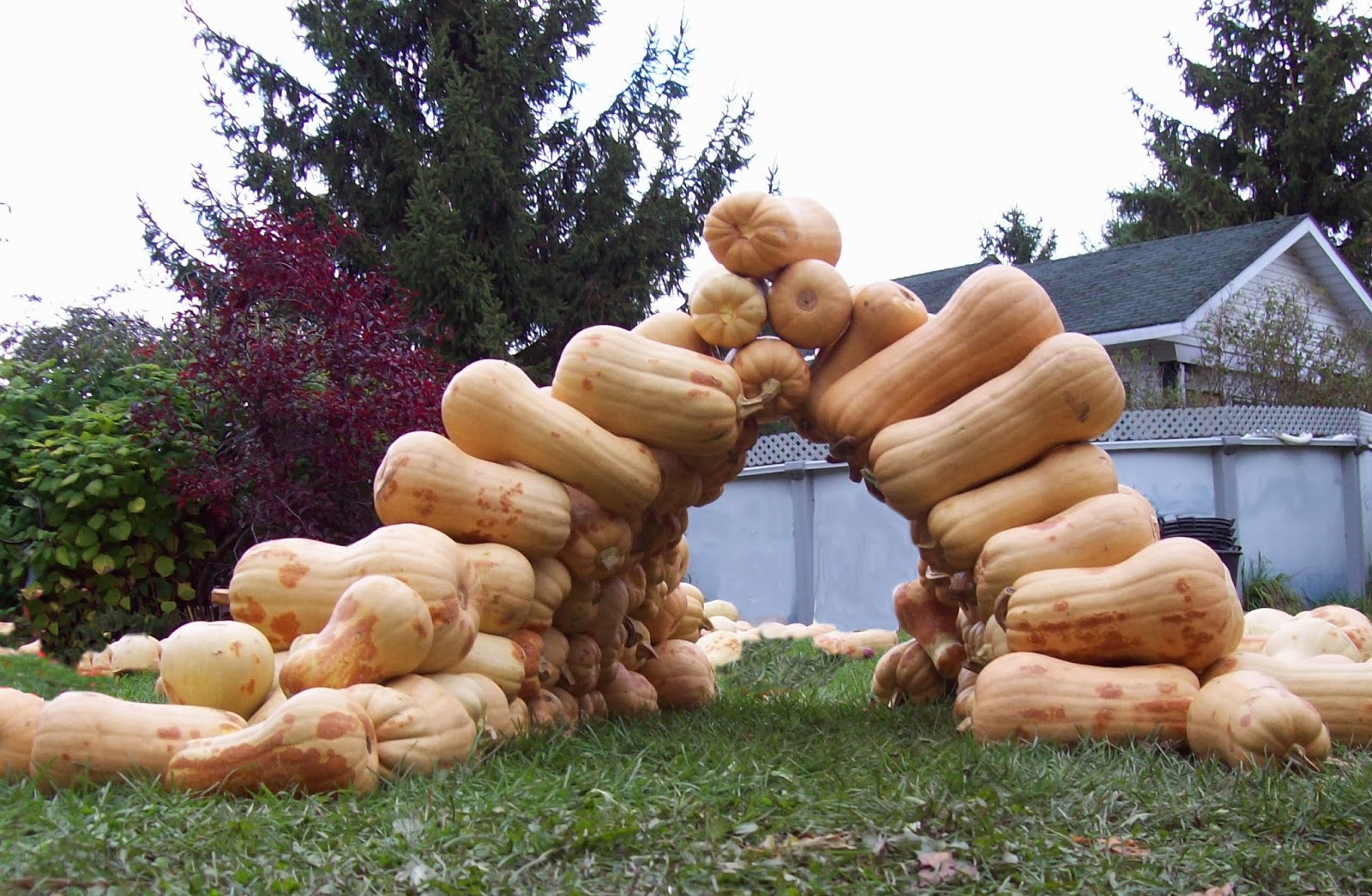 Thinking With My Hands Arch 12