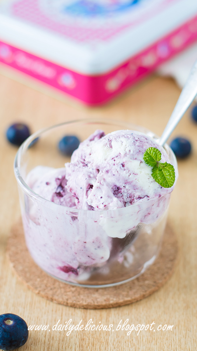 Blueberry Yogurt Ice Cream Cake Blueberry Yogurt Ice Cream Cake