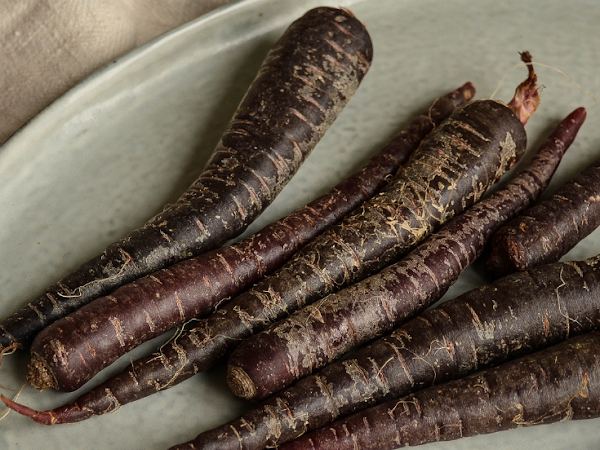 Purple Carrots History and Nutritions 