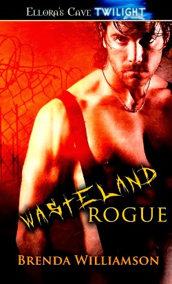 Wasteland Rogue
