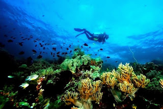 Taman laut Nasional Wakatobi Taman laut Nasional Wakatobi