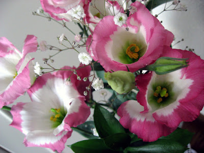 すべての美しい花の画像 リシアンサス 花騎士