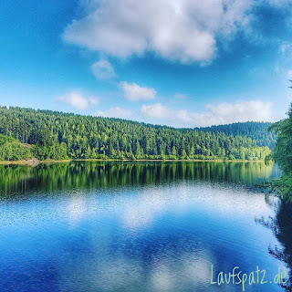 Laufen Erzgebirge Marathon Training Talsperre Laufen Erzgebirge Marathon Training Talsperre