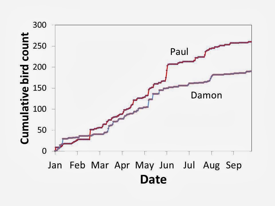 The Year of Birds Year of Birds by the Numbers, Part 3
