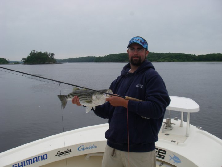 Maine Striper Fishing Charters & Reports Hotline 2076910745 Maine