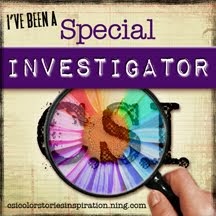 CSI Special Investigator October 2013