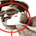 Terrorist Dawood Changed Hideout Four Times Since 2014 In Modi's Fear