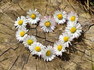 whatsapp love dp download whatsapp love dp download