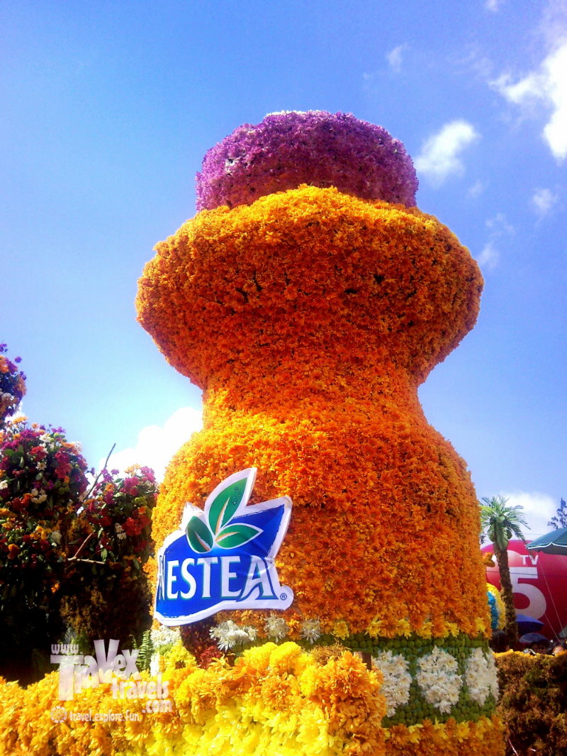 Baguio Flowers and Session in Bloom Travex Travels Travel. Explore