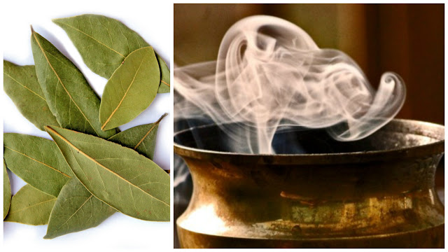 Burn-Bay-Leaves-In-Your-Home