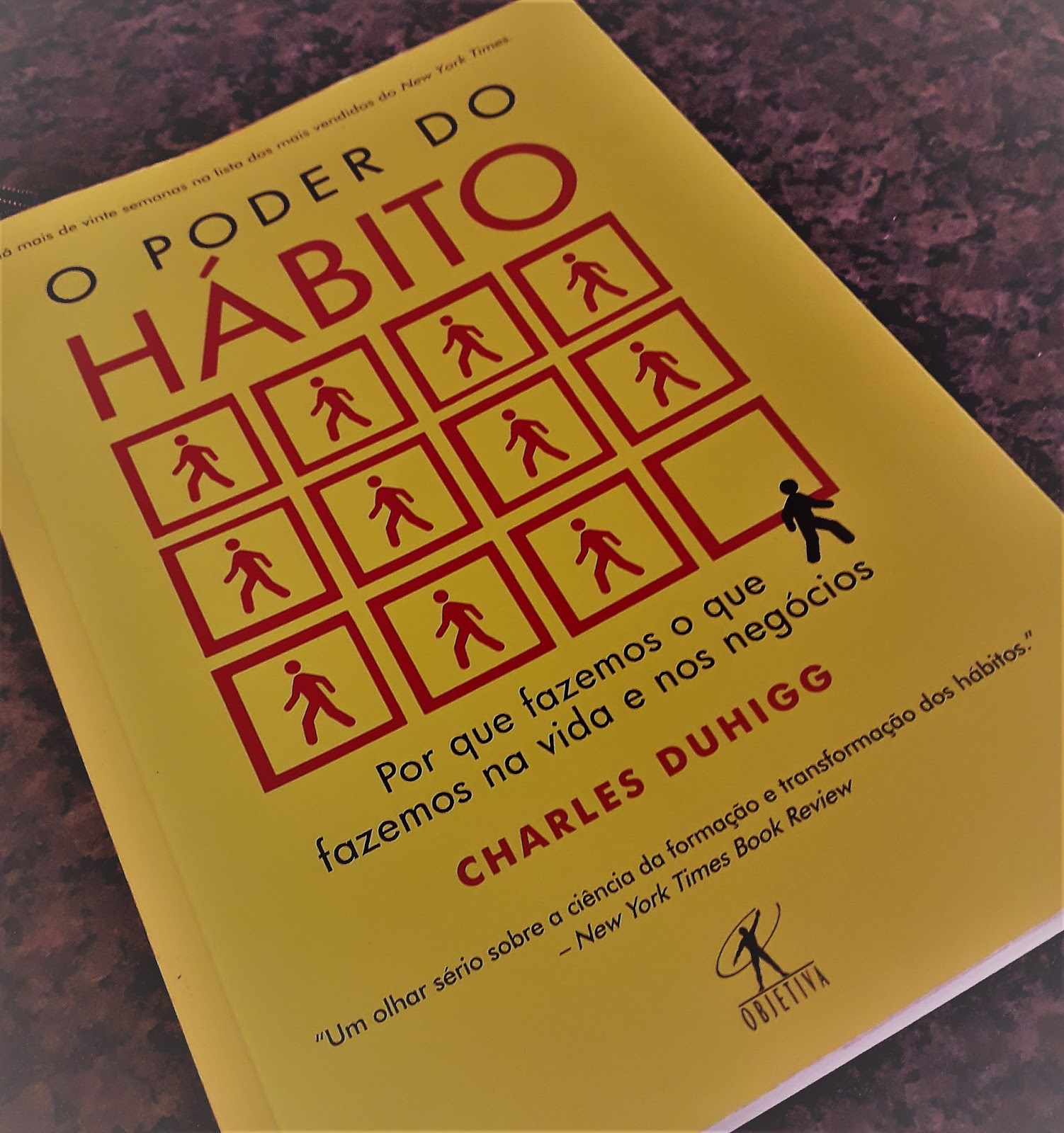 Executivo Nerd Resenha de Livros O Poder do Hábito por Charles Duhhigg