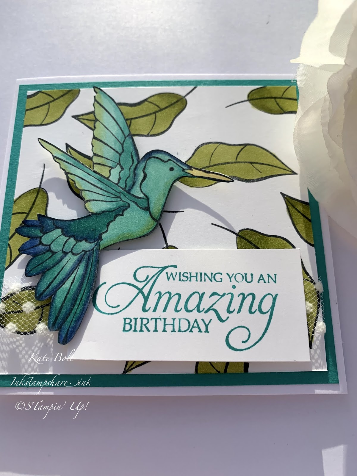 Humming Along Birthday Card. Hummingbird stamp,