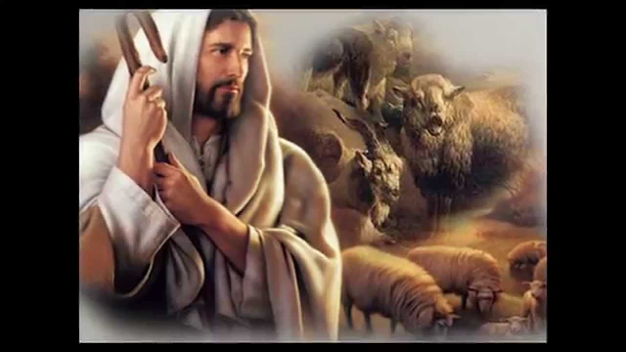 siguiendo-el-evangelio-vengan-benditos-de-mi-padre