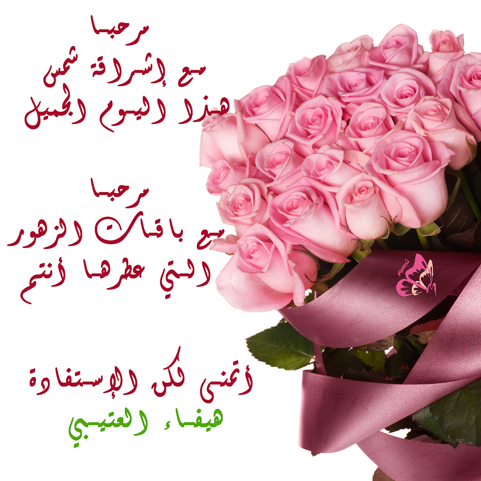 تصاميم خاصة بالدرس النموذجي _ المناطق الادارية في المملكة