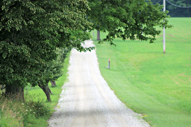 Country Lane