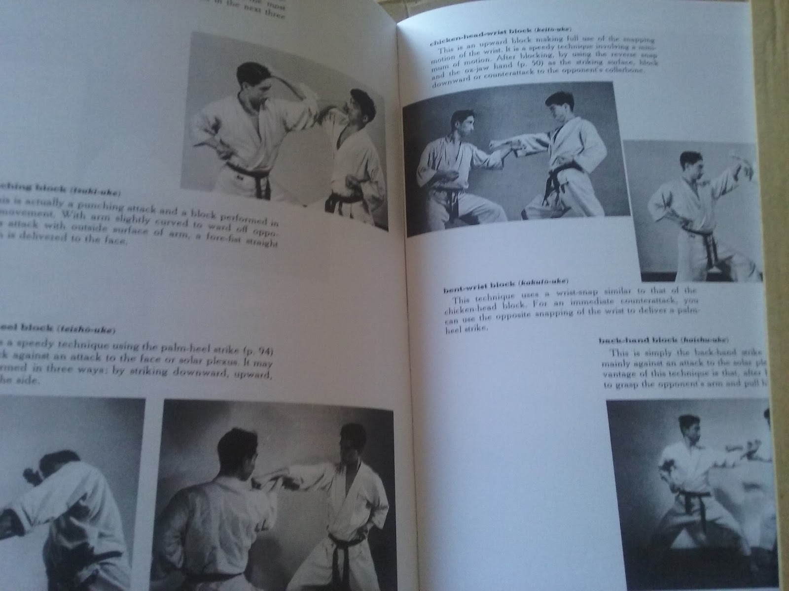 Libro Karate "The art of empty hand fighting" Virtual Ryu Kyu Karate