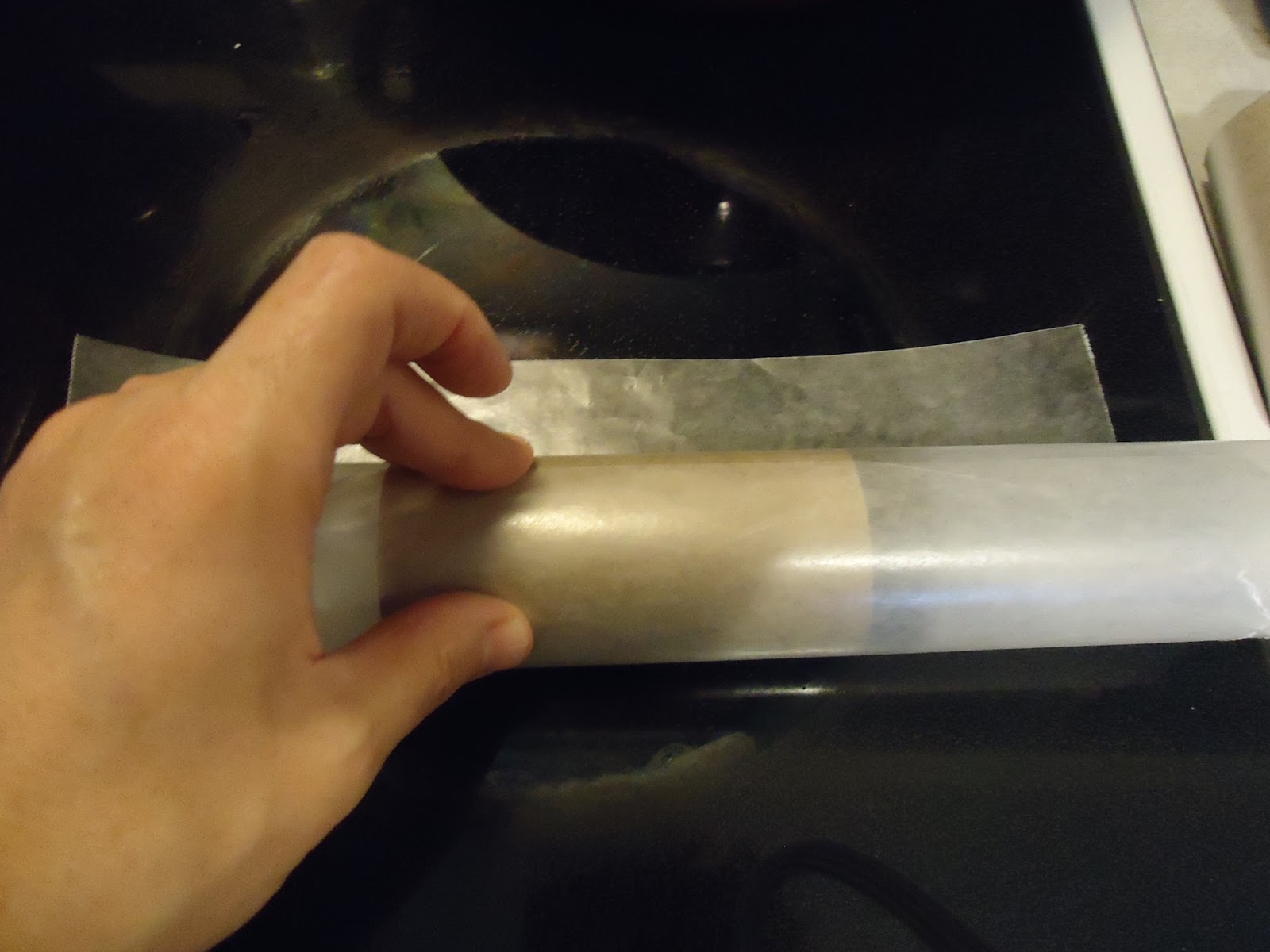 Thrifty Mom In Boise Recycling Dryer Lint