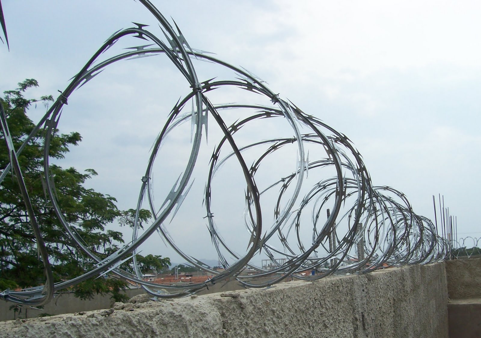 Concertinas Concertinas