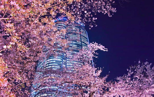 10 Best Places To Shopping In Japan 10 Best Places To Shopping In Japan