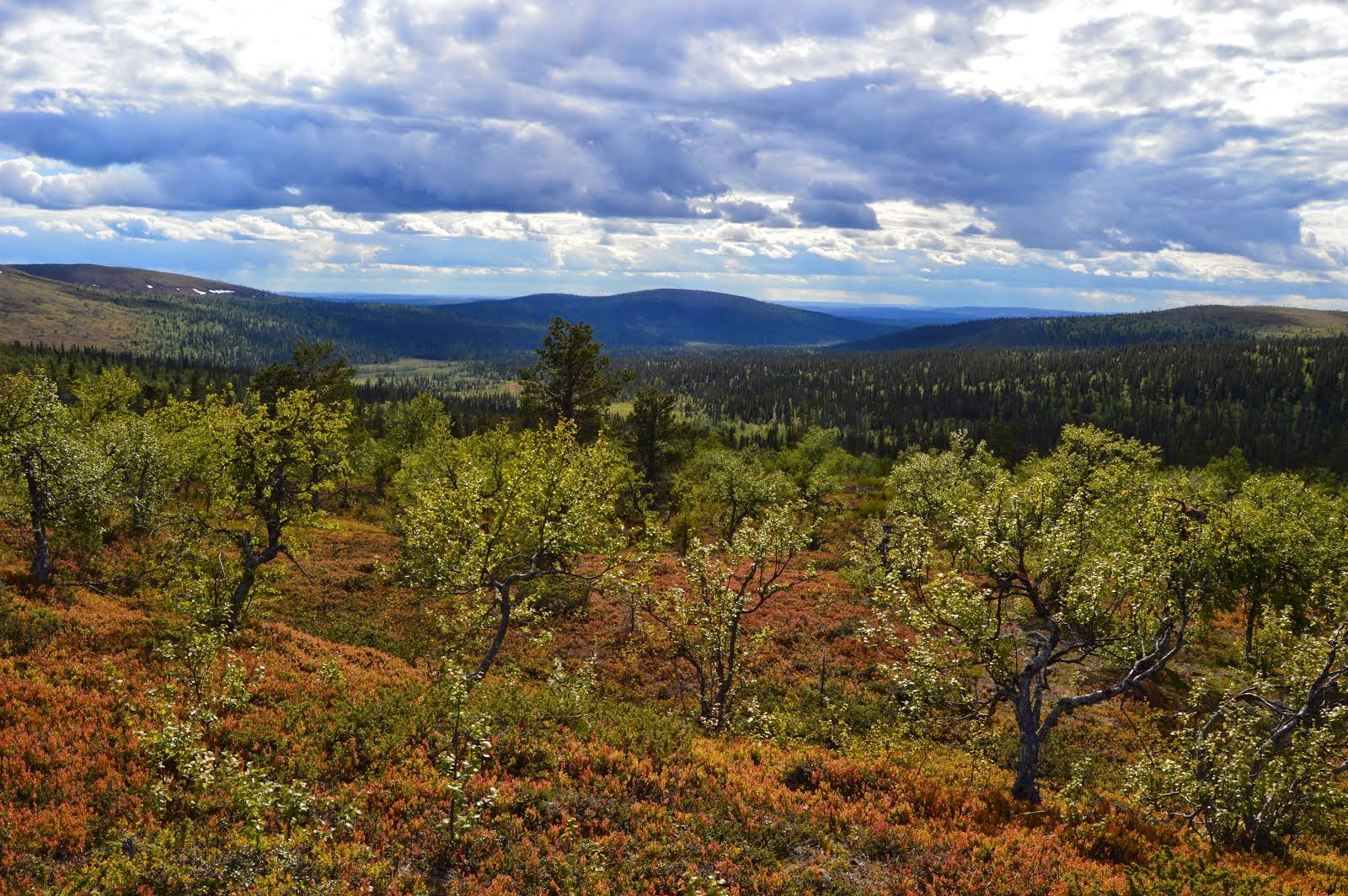 Enska Kettunen