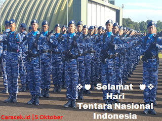 hari-tentara-nasional-indonesia-6