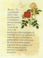 rosa