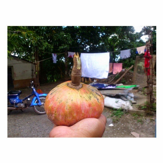 Frutas de antaño: El mamón